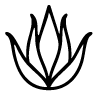 ARspa_corporal_Icon